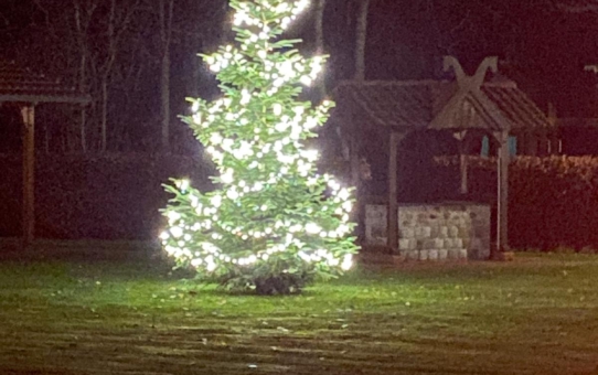 Letzter Arbeitseinsatz 2025